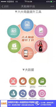 天助网计算机信息技术推广服务报价方案解析